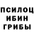 Псилоцибиновые грибы мицелий Olowek pl