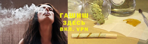 шишки Болотное