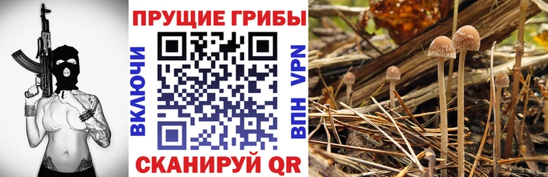 Псилоцибиновые грибы Magic Shrooms  Юрюзань 