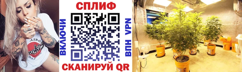 OMG ССЫЛКА  Юрюзань  Конопля LSD WEED 